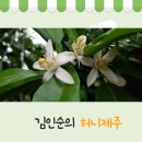 김인순의허니제주 이미지