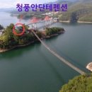 청풍안단테