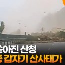 산청(대전) 이미지