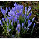 위미문화의 집 이미지