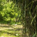 봉남리 삼층석탑 이미지