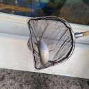 연산시장 이미지