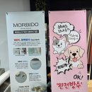 카우치가죽소파 고급스러워요.