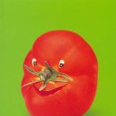 즐거운야채 과일 이미지