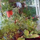 우리뷔페 이미지