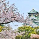 (주)한신여행