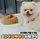 하늘바라기펫푸드 강아지수제간식 강아지케이크 | 강아지케이크 수제간식 견우재 믿고 먹여