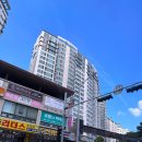 지지배샵 이미지