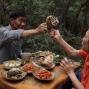 산청지리산약초 국제뉴스