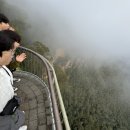 (주)킹스랜드 이미지