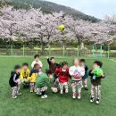 백양어린이집 이미지