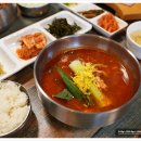 제주꼬끼오 이미지
