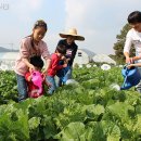 귀농농장 이미지