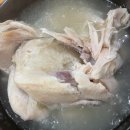 수줍은 삼계탕 | 기력보충 복날 음식! 모란 삼계탕맛집, 금산삼계탕