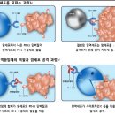 “사망률 1위 폐암, 당뇨처럼 다루는 시대 온다” 이미지