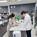 아이온메디칼 | 소사벌동물병원 결막염 치료 후기(아이온동물메디컬센터)
