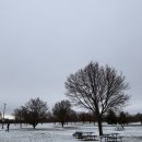 유니언버드 | [2025 북미] 오대호를 품은 거센 자연의 물줄기가 자아내는 장관, ‘Niagara Falls’