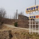 피아골농장펜션 이미지