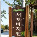 서포비치 이미지