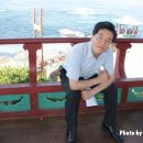 돌고래시장 이미지