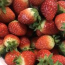 상혁농장 이미지