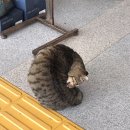 06/2023 은로그