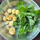 해남군-05 | 해남 흑석산자연휴양림 솔캠 기록 – 2박 3일 첫날 이야기