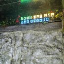 휴양지 여행 가고 싶은 마음 달래는데 방문하기 좋은 술집 추천 푸른술집할라 여수여서점