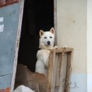 웅석봉로 이미지