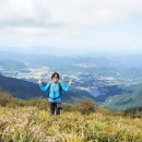 향로산 자연휴양림 이미지