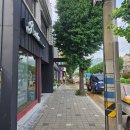 내동 1165(스타벅스 내동점 앞) | 김해 맞춤정장 맞춤셔츠 추천 테일러 제이 후기