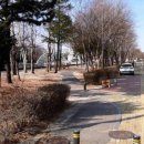 중앙대로 이미지