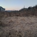 함안면사무소 이미지