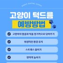 석적동물병원 이미지