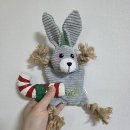 큐어벳 | [대전/dcc] 2026 대전 케이펫페어 다녀온 후기 (주차비용 tip, 입장료)