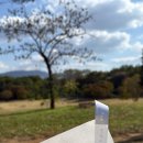 시오사쿠