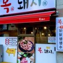 댕냥잇츠 네이버블로그