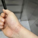 공룡한의원 이미지