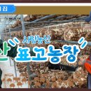 김형표농장 이미지