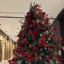 차니푸드 | 여의도 호텔 콘래드 서울 제스트 뷔페 후기