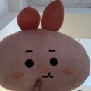 랑쥬왁싱&속눈썹 | 의정부 왁싱부터 속눈썹까지 한 번에! 랑쥬왁싱 & 속눈썹 솔직 후기