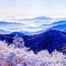 2012년12월12일 덕유산 이미지