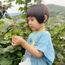 솔미농원 이미지