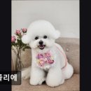 멍뜰리에 이미지