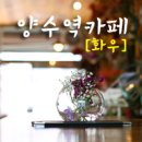 깡스플라워