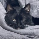 (주)굿모닝마을 | <10/20~26> 선택적 집순이의 저저저저저저저저저저저번주 일주일