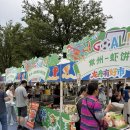 쑤저우 단오절 연휴 가볼만한 곳｜월광부두(月光码头) 용선축제,먹거리 마켓후기