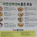 코끼리식당 이미지