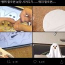 해피햄찌