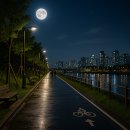 방범용CCTV-A8 | 밤에도 안전하고 힐링되는 야간 걷기 명소